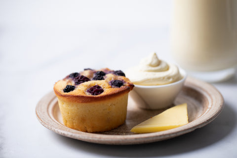 Keto Blueberry Muffin